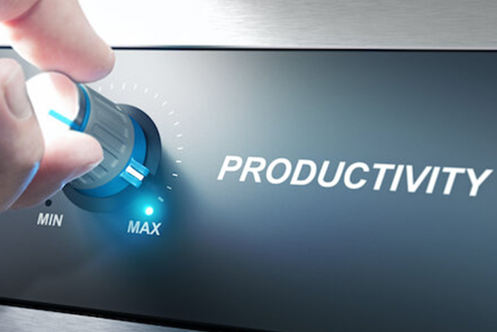 Cultivating Productivity in the Office